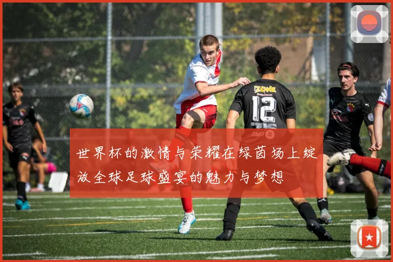 世界杯的激情与荣耀在绿茵场上绽放全球足球盛宴的魅力与梦想