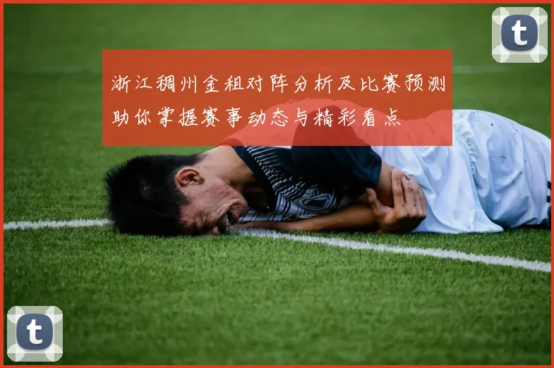 浙江稠州金租对阵分析及比赛预测助你掌握赛事动态与精彩看点